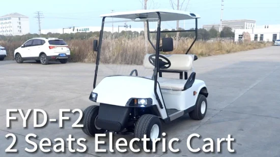 Manufacturer Free Custom Color OEM Electric Sport Golf Buggy Cart Wholesale Battery 4 Wheel 2 Passenger Electric Small Car Mini Car with Single Luxury Seater